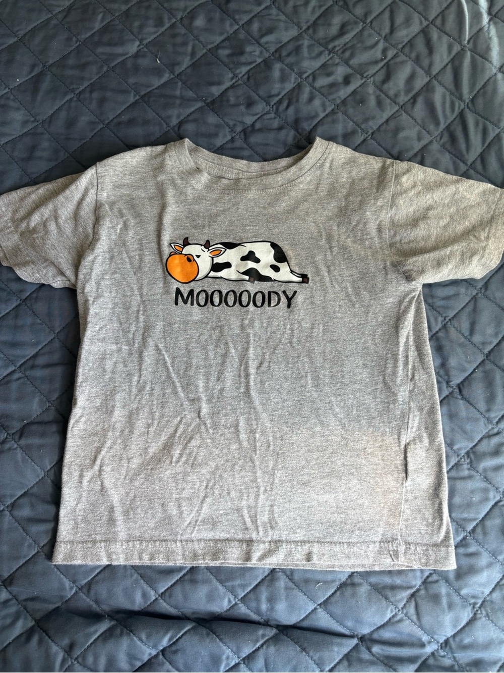 NWOT Boys’ “Mooooody” Cow Adorable Rabbit Skins T-Shirt, size 5/6